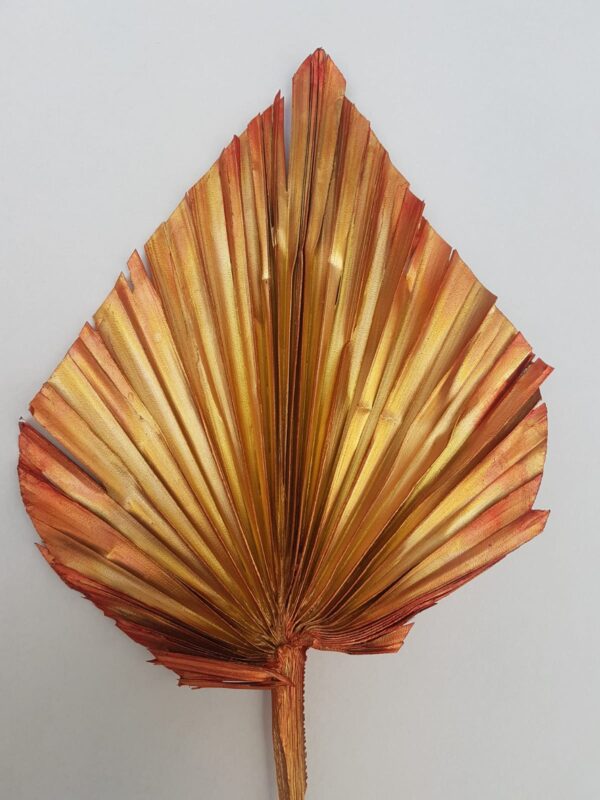 Palm Spear Large Wide Tinted Metal Copper (EUR)