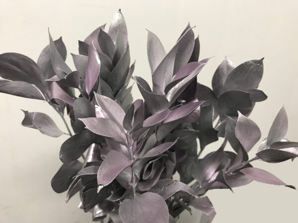 Ruscus Israeli Painted Silver